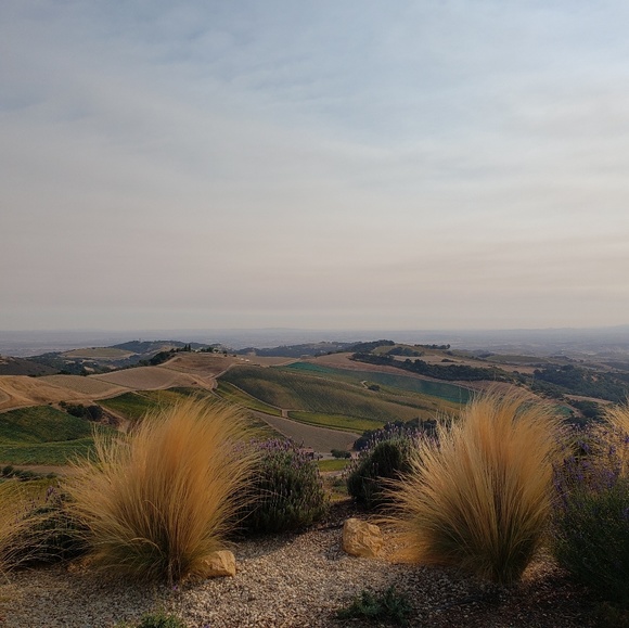 Meet your Posher, Natasha - Picture 2 of 2